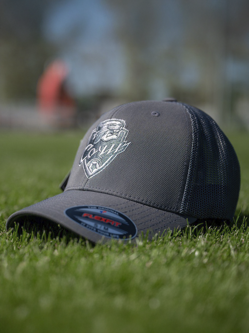 Кепка серая с эмблемой на резинке