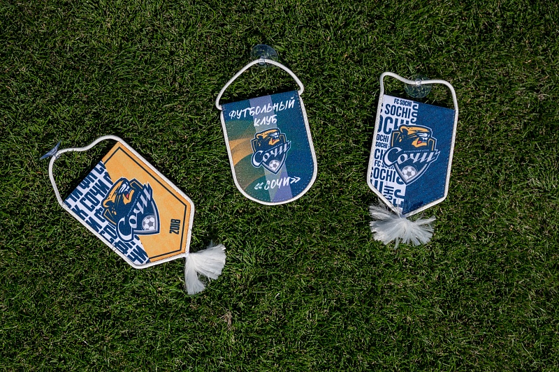 Набор авто вымпелы